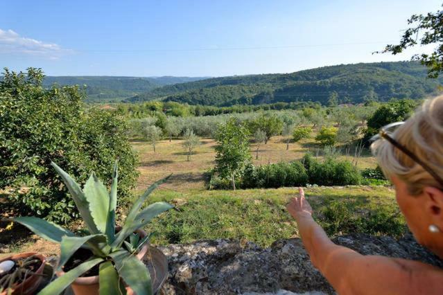Cozy Istrian House Guest House Izola Exterior foto