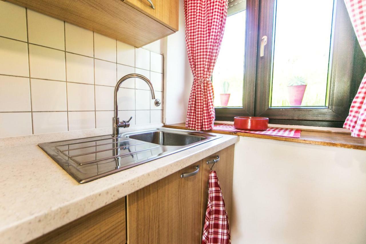 Cozy Istrian House Guest House Izola Exterior foto