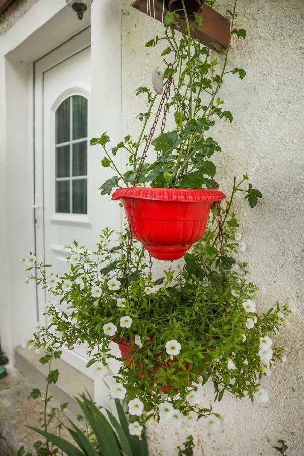Cozy Istrian House Guest House Izola Exterior foto