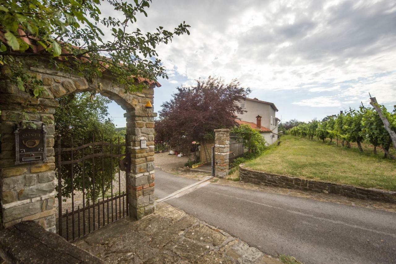 Cozy Istrian House Guest House Izola Exterior foto