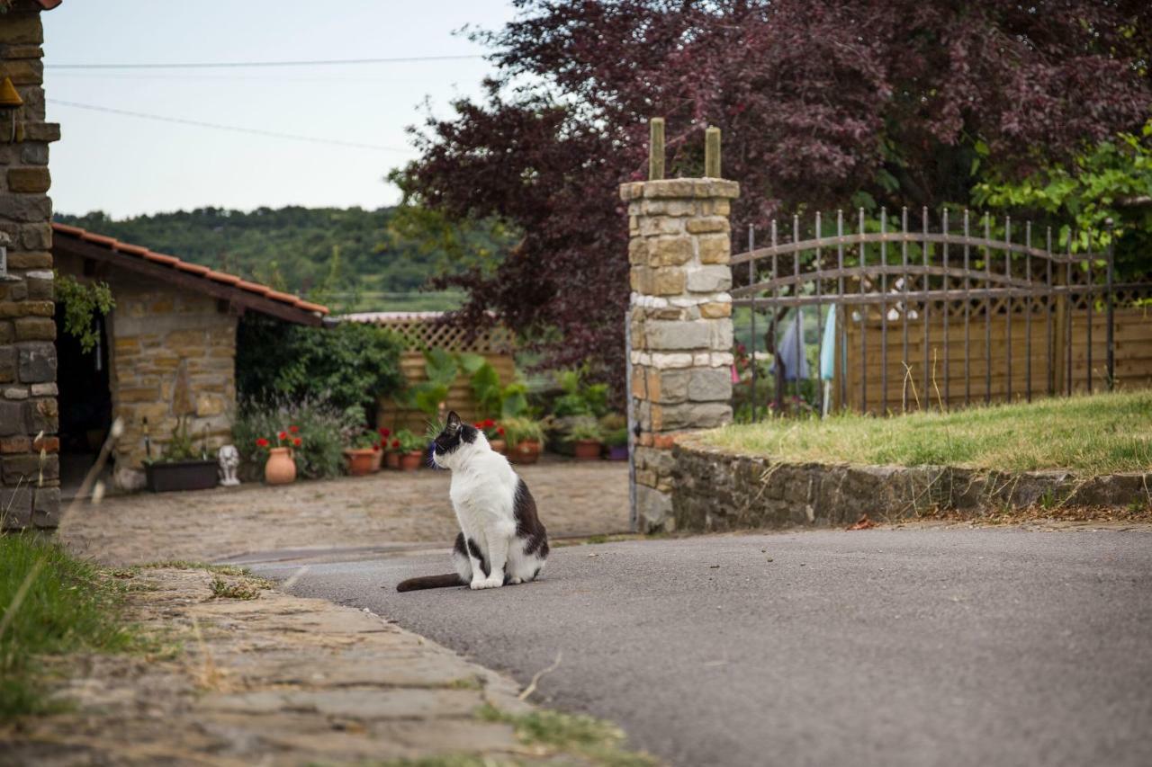 Cozy Istrian House Guest House Izola Exterior foto