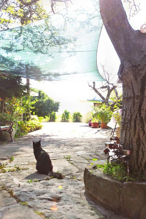 Cozy Istrian House Guest House Izola Exterior foto