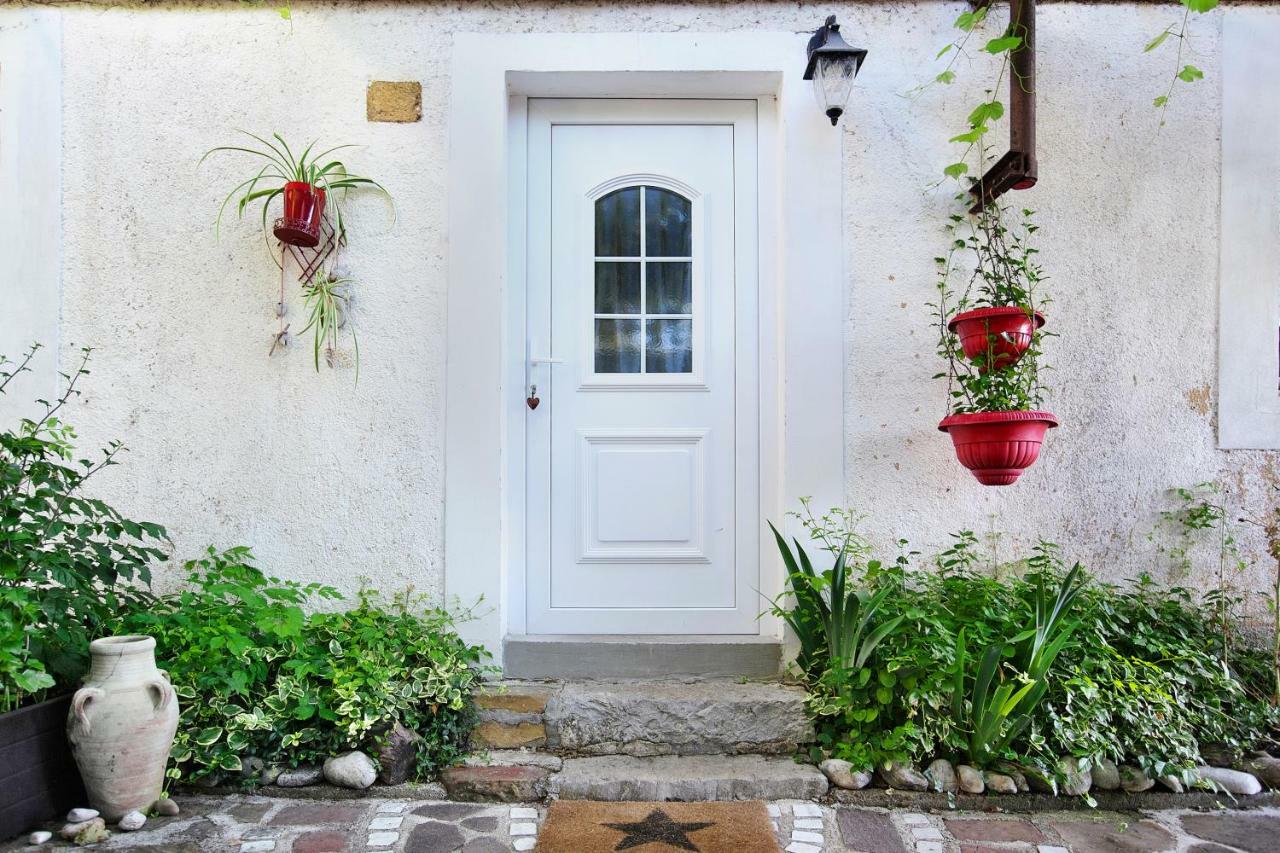 Cozy Istrian House Guest House Izola Exterior foto